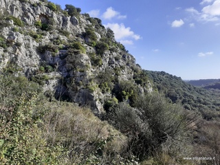 traro-30-12-2021 10-11-42